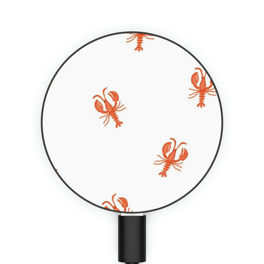 Lobster Magnetic Induction Charger